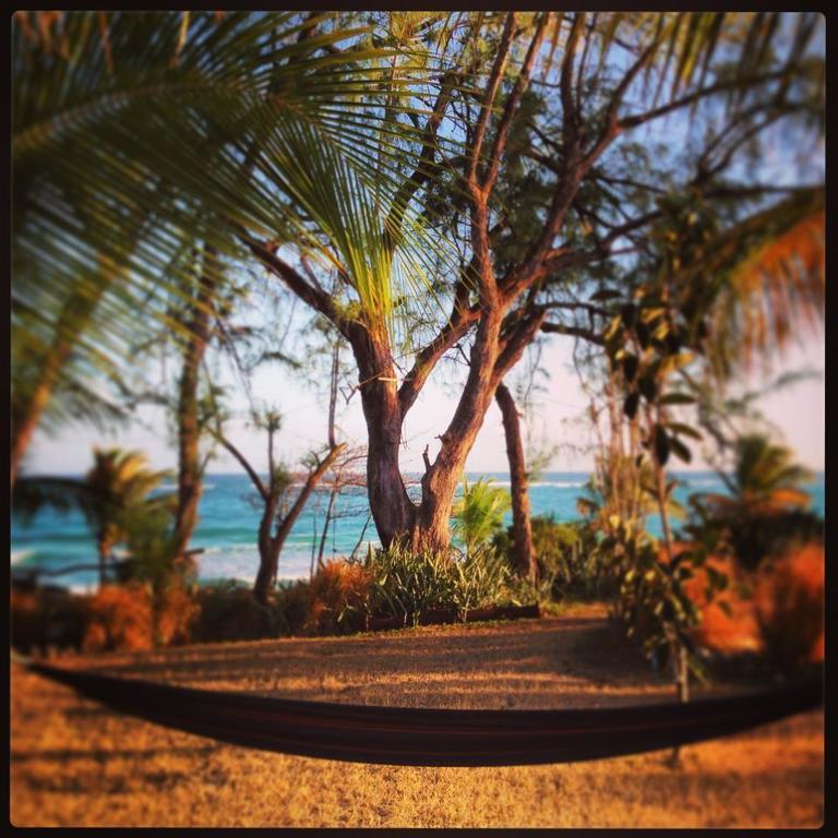Moonraker Beach Hotel Christ Church Buitenkant foto